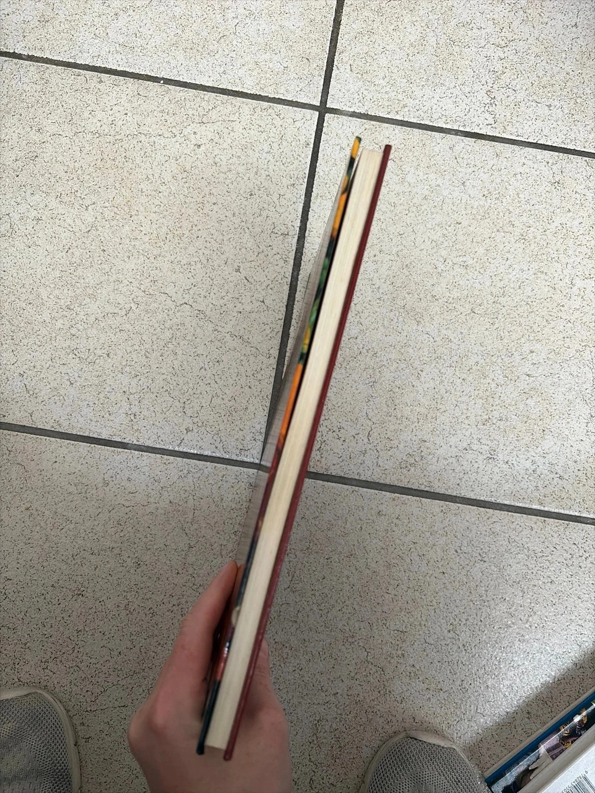 Jaarlijks plantenboek – photo 5